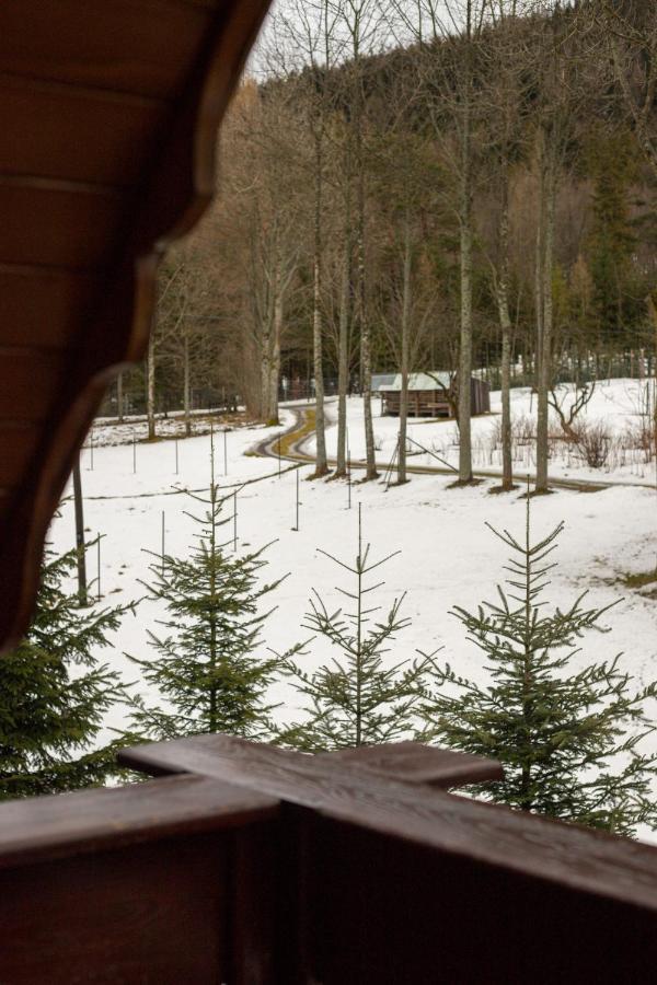 Golden Apartments Zakopane- One Bedroom Apartment - Mountain View&B14 Kültér fotó